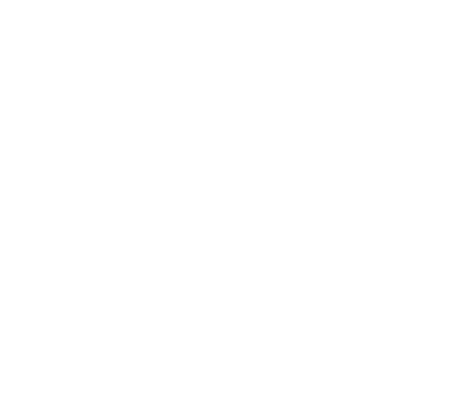 section-title