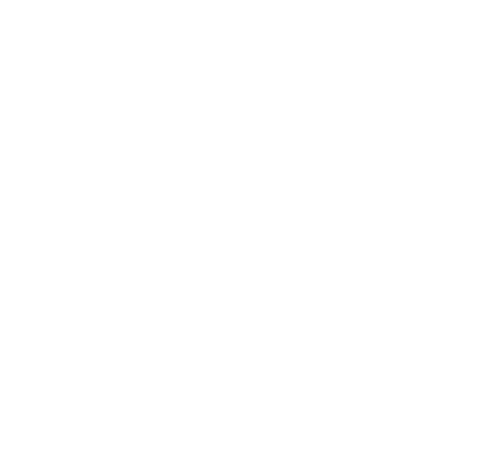 section-title